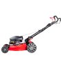 Газонокосилка бензиновая самоходная с двигателем FUBAG Honda FPL 56 SMH в Орле фото
